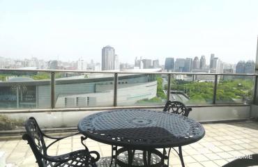 spacious apartment near Century park-lujiazui center palace